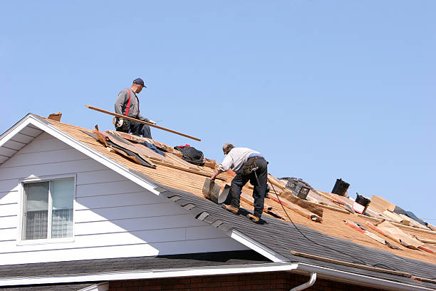 Best Asphalt Shingles Roofing  in Brookhaven, PA
